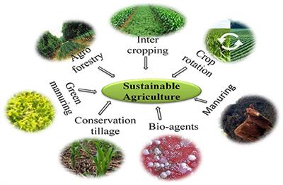 Frontiers | Microbiome As A Key Player In Sustainable Agriculture And ...